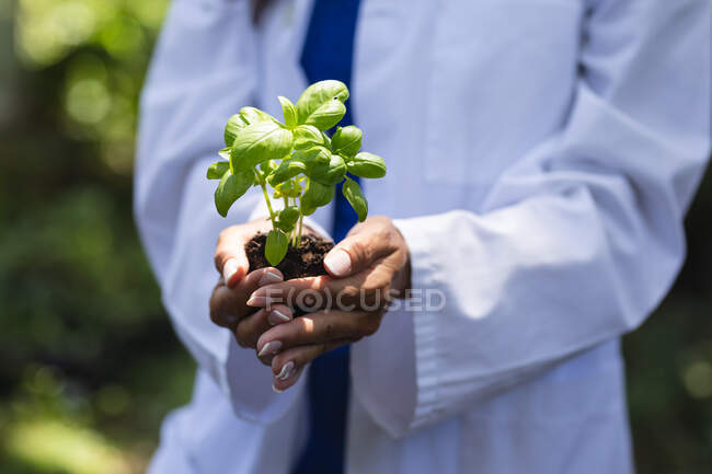 Parte média da mulher vestindo um casaco de laboratório, de pé em um jardim, segurando uma planta cultivada de sementes no solo em suas mãos de chávena e apresentando-o à câmera — Fotografia de Stock
