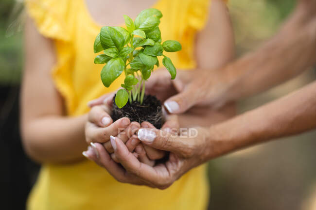 Mid section of the hands of woman and her daughter, standing in a garden, holding a seedling in soil in her cupped hands and presenting it to camera — Stock Photo