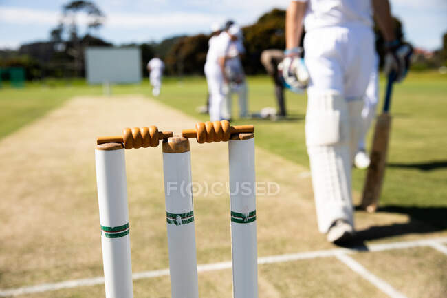 Close-up vista de um tocos de críquete de pé em um campo de críquete em um dia ensolarado com jogadores de críquete do sexo masculino vestindo brancos, de pé em campo durante uma partida de críquete no fundo. — Fotografia de Stock