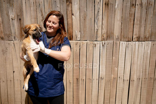 Front view of a female vet wearing blue scrubs at an animal shelter holding a rescued puppy in her arms on a sunny day. — Stock Photo