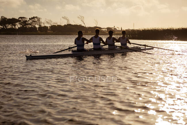 Задний вид на гребную команду из четырех кавказских мужчин, тренирующихся и гребящих на реке, сидящих в лодке на закате — стоковое фото