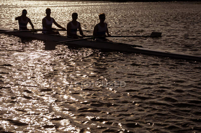 Vue latérale d'une équipe d'aviron de quatre hommes caucasiens en formation de silhouette et ramant sur la rivière, assis dans un bateau à rames au coucher du soleil — Photo de stock