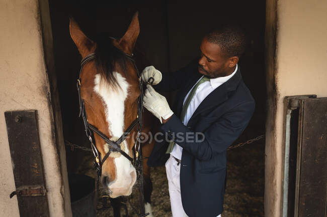 Vista lateral de um homem afro-americano inteligentemente vestido colocando um freio em uma cabeça de cavalo castanha antes de andar de cavalo de curativo durante um dia ensolarado . — Fotografia de Stock