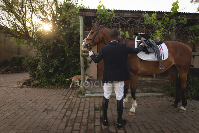 Vista posteriore di un uomo afroamericano elegantemente vestito che sella un cavallo di castagno prima di andare a cavallo di dressage durante una giornata di sole, in piedi vicino a una stalla con un cane che cammina dietro. — Foto stock