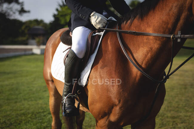 Vue de face section basse d'un homme habillé intelligemment assis sur un cheval de châtaignier pendant l'équitation habillage par une journée ensoleillée. — Photo de stock