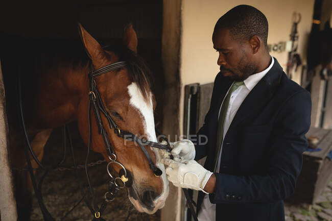 Vista lateral de un hombre afroamericano vestido con elegancia poniendo una brida en una cabeza de caballo de castaño antes de montar a caballo doma durante un día soleado. - foto de stock