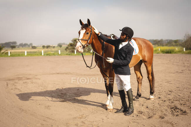 Бічний вид на вправно одягненого афроамериканця, який пестить свого каштанового коня перед стрибком на коні в сонячний день.. — стокове фото