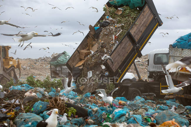 Troupeau d'oiseaux survolant des véhicules qui travaillent, nettoient et déversent des ordures empilées sur une décharge remplie de déchets avec un ciel nuageux couvert en arrière-plan. Enjeu environnemental mondial de l'élimination des déchets. — Photo de stock