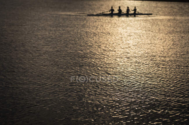 Віддалений вид веслувального колективу з чотирьох кавказьких жінок, що тренуються на річці, веслують у гоночній мушлі на світанку, з сонячним світлом, відбитим на хвилях води на передньому плані. — стокове фото