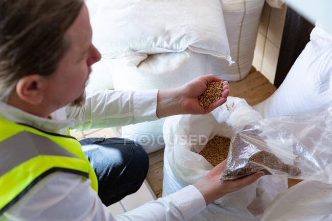 High angle view of a Caucasian man wearing a high visibility vest, working in a microbrewery, holding malt in hand over a bag. — Stock Photo