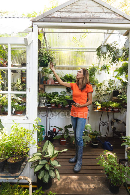 Eine kaukasische Frau mit langen Haaren genießt die Zeit im sonnigen Garten, steht in der Tür eines Gewächshauses und berührt mit einem Tablet-Computer die Blätter einer Pflanze. — Stockfoto