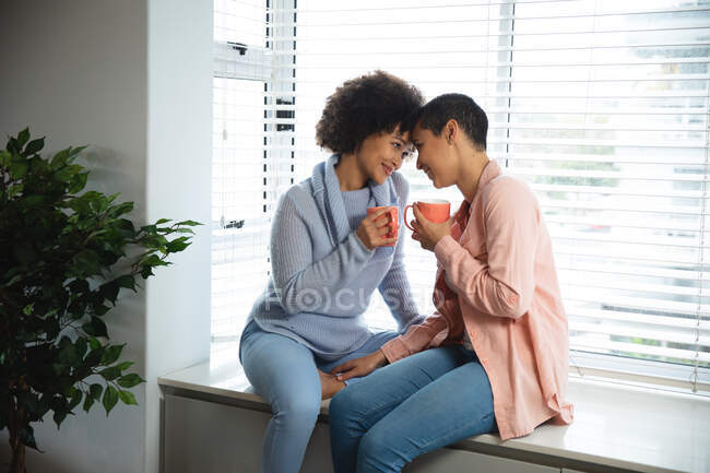 Vista lateral de la pareja femenina de raza mixta relajándose en casa, sentados en un asiento de ventana sosteniendo copas, uno frente al otro con la cabeza tocando - foto de stock