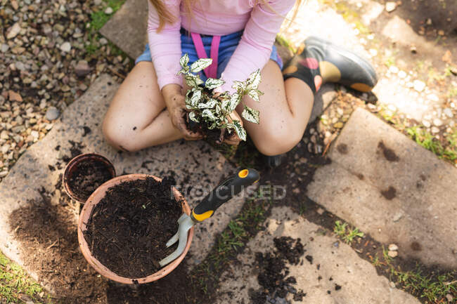 Chica con el pelo largo y rubio disfrutando del tiempo en un jardín soleado, explorando, plantando una plántula en una maceta, sosteniendo una planta - foto de stock