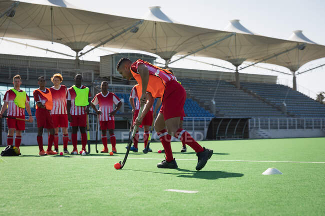 Side view of a mixed race male field hockey player, training with teammates on a field hockey pitch before a game, preparing to hit a ball with a hockey stick, on a sunny day — Stock Photo