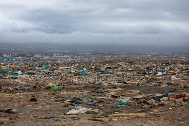 Flock of birds flying over rubbish piled on a landfill full of trash with stormy overcast sky in the background. Global environmental issue of waste disposal. — Stock Photo