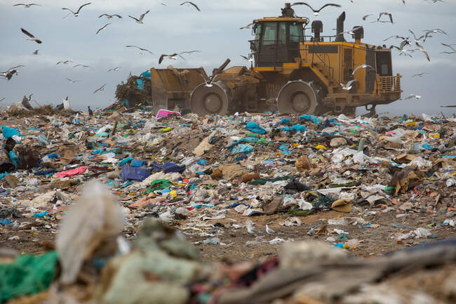 Зграя птахів, що літають над бульдозером, працюють і розчищають сміття, нагромаджене на звалищі, повному сміття з хмарним покриттям неба. Глобальне екологічне питання утилізації відходів. — стокове фото