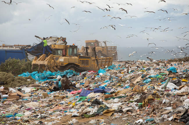 Flock of birds flying over vehicles working, clearing and delivering rubbish to a landfill full of trash with cloudy overcast sky in the background. Global environmental issue of waste disposal. — Stock Photo