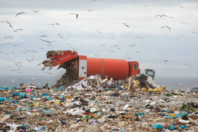 Flock of birds flying over vehicle working and delivering rubbish to a landfill full of trash with cloudy overcast sky in the background. Global environmental issue of waste disposal. — Stock Photo