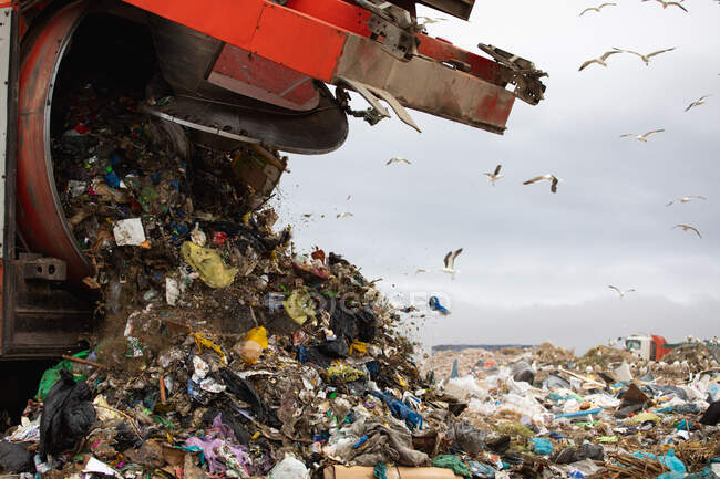 Flock of birds flying over vehicle working and delivering rubbish to a landfill full of piled trash with cloudy overcast sky in the background. Global environmental issue of waste disposal. — Stock Photo