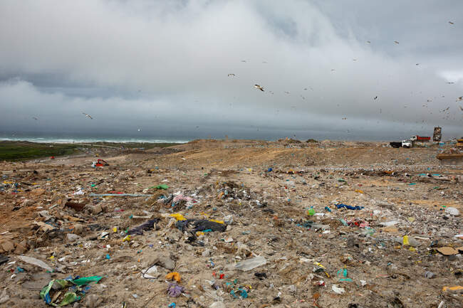 Flock of birds flying over vehicles working, clearing and delivering rubbish piled on a landfill full of trash with cloudy overcast sky in the background. Global environmental issue of waste disposal. — Stock Photo