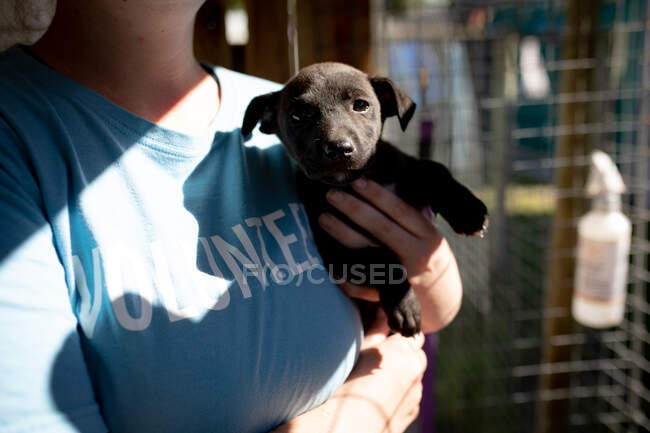 Vista frontal sección central de una voluntaria vistiendo uniforme azul en un refugio de animales sosteniendo un cachorro rescatado en sus brazos. - foto de stock