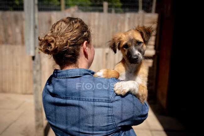 Vista posteriore da vicino di una volontaria in un rifugio per animali con in braccio un cucciolo salvato in una giornata di sole. — Foto stock