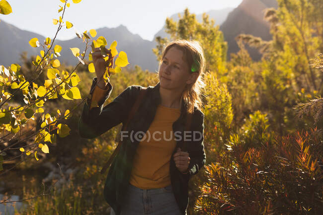 Vista frontal de uma mulher caucasiana se divertindo em uma viagem às montanhas, andando em um campo, olhando para folhas, em um dia ensolarado — Fotografia de Stock