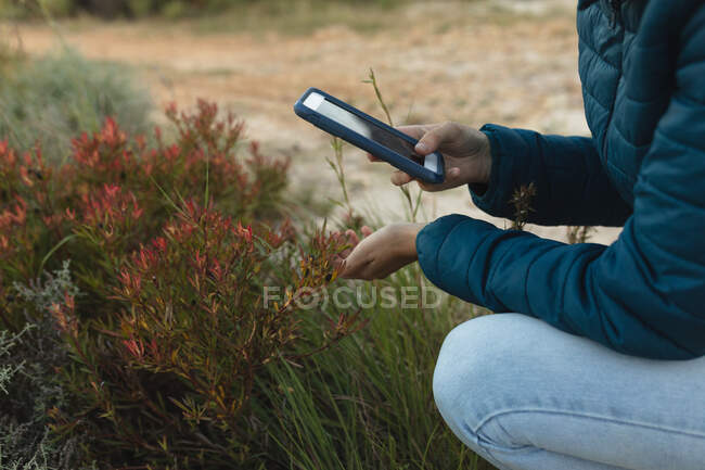 Vista laterale metà sezione di donna che si diverte in un viaggio in montagna, inginocchiandosi e scattando una foto di fiori con uno smartphone — Foto stock