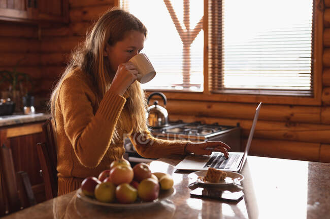 Vista lateral de uma mulher caucasiana se divertindo em uma viagem às montanhas, sentada ao lado de uma mesa em uma cabine, bebendo café, usando laptop — Fotografia de Stock
