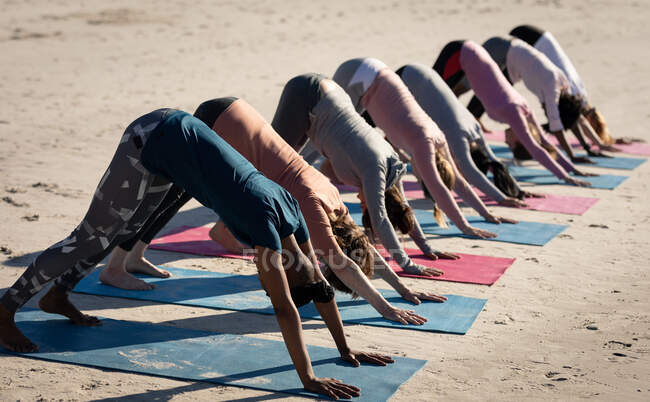 Вид сбоку на многоэтническую группу подруг, наслаждающихся упражнениями на пляже в солнечный день, практикующих йогу, стоящих в позе собаки. — стоковое фото