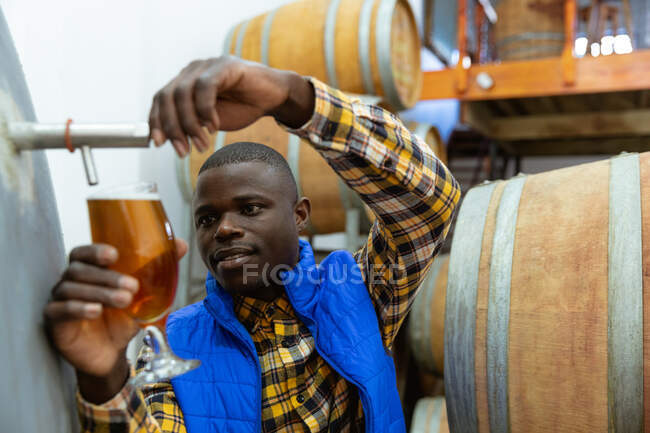 Hombre afroamericano trabajando en una microcervecería vertiendo cerveza de una cuba en un vaso para inspección con barriles de madera en el fondo. - foto de stock