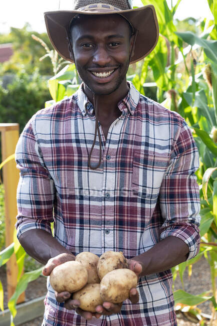 Афроамериканец социальное дистанцирование дома во время карантинной изоляции, стоя в саду, улыбаясь и представляя свежий картофель. — стоковое фото