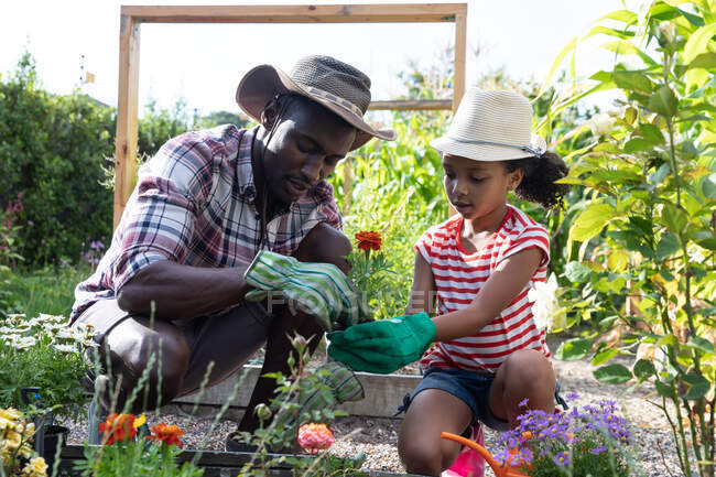 Niña afroamericana y su padre se distancian socialmente en casa durante el cierre de cuarentena, pasando tiempo en su jardín juntos, plantando flores, en un día soleado. - foto de stock