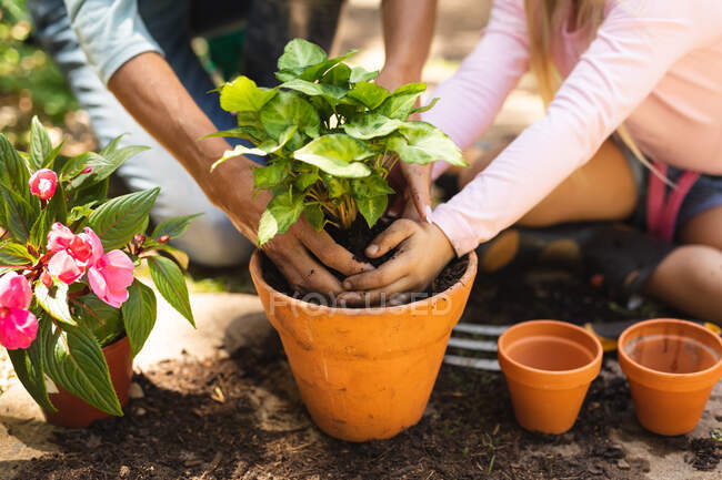 Mid section close up of woman and her daughter enjoying time together in a sunny garden, planting a seedling in a plant pot — Stock Photo