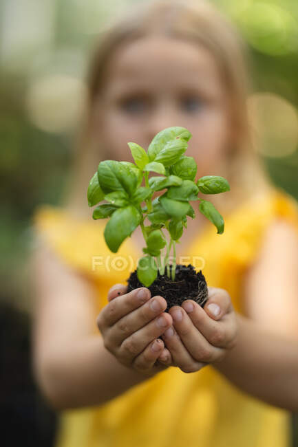 Uma menina caucasiana com cabelo loiro, de pé em um jardim segurando, uma planta cultivada de sementes no solo em suas mãos de xícara e apresentando-o à câmera — Fotografia de Stock