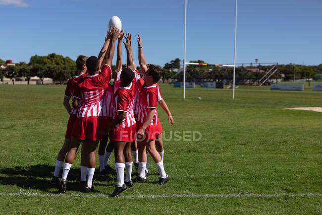 Вид ззаду групи підлітків багатоетнічних чоловіків-регбістів у червоно-білій командній смузі, що стоїть на ігровому полі та піднімає м'яч регбі вгору в повітрі — стокове фото