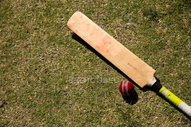 Vista alta fechar de uma bola de críquete vermelho e um taco de críquete deitado em um campo de críquete em um dia ensolarado — Fotografia de Stock