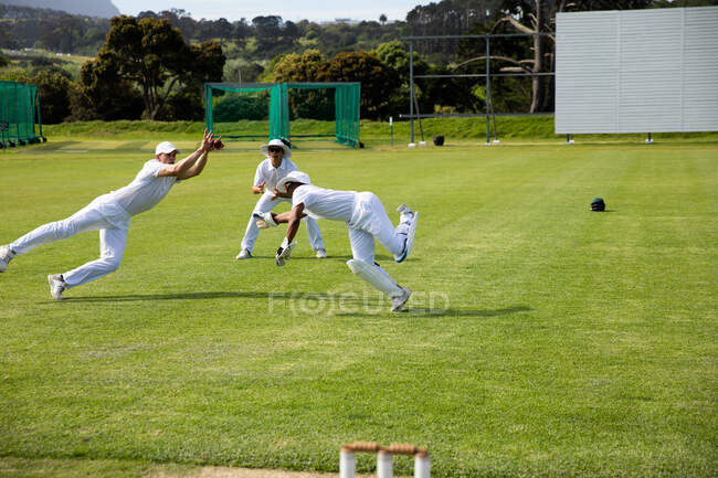 Vista laterale di una squadra di cricket maschile multietnica adolescente vestita di bianco, in piedi su un campo da cricket, che si tuffa per la palla durante una partita in una giornata di sole. — Foto stock