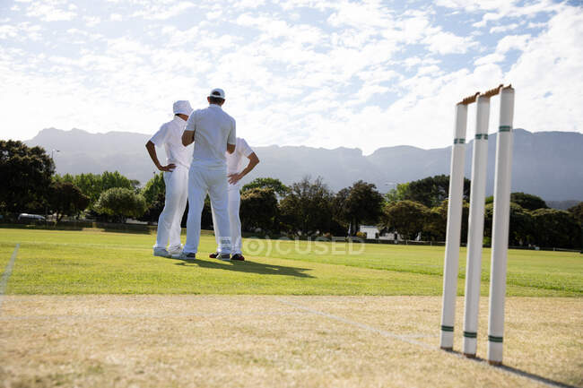 Vista posteriore di una squadra di cricket maschile multietnico adolescente con indosso bianchi, in piedi sul campo vicino al wicket e parlando, durante la giornata di sole. — Foto stock