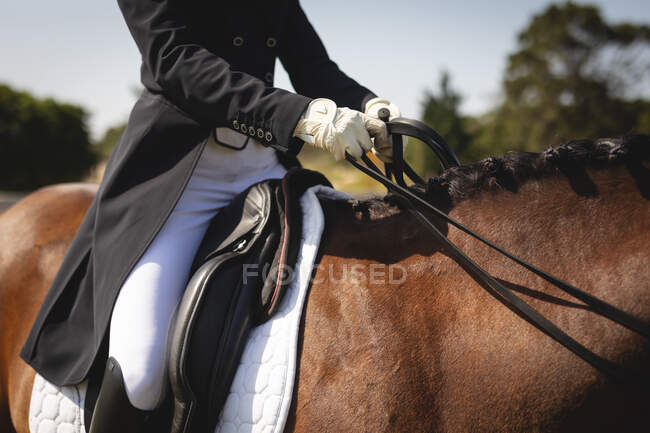 Vue latérale au milieu d'une cavalière habillée intelligemment assise sur un cheval de châtaignier lors d'une compétition de dressage par une journée ensoleillée. — Photo de stock