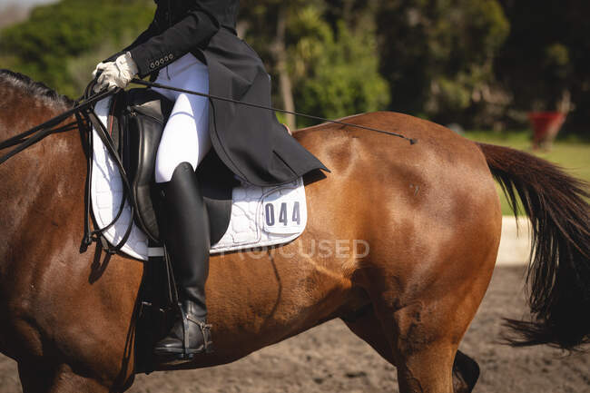 Вид збоку низька секція розумно одягненого жіночого вершника, що сидить на каштановому коні під час виїзного шоу в сонячний день . — стокове фото