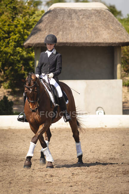 Front view of a smartly dressed Caucasian female dressage rider riding a chestnut horse in a paddock during dressage competition on a sunny day. — Stock Photo
