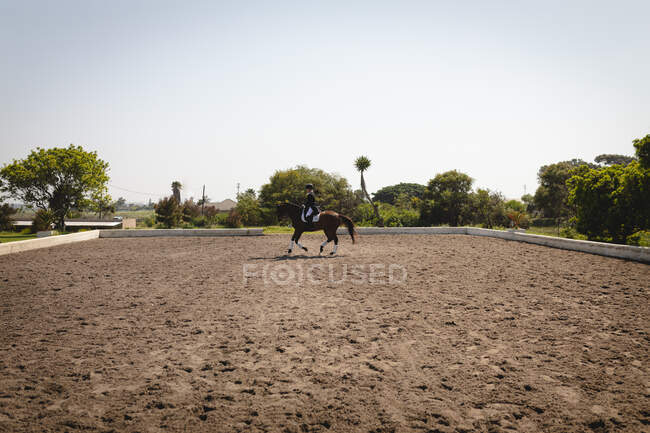 Vista lateral lejana de una jinete de doma caucásica elegantemente vestida montando un caballo de castaño en un paddock durante la competencia de doma en un día soleado. - foto de stock