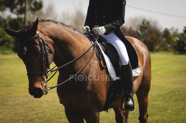 Front view low section of a smartly dressed female dressage rider sitting on a chestnut horse on a sunny day during dressage show. — Stock Photo