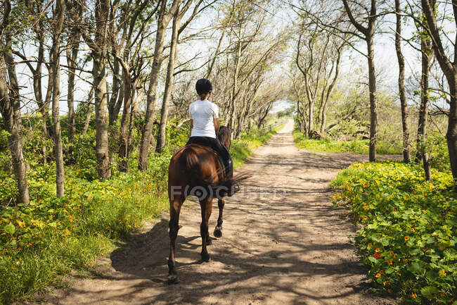 Vista trasera de una jinete caucásica casualmente vestida hackeando un caballo castaño a lo largo de un sendero a través de un bosque en un día soleado. - foto de stock