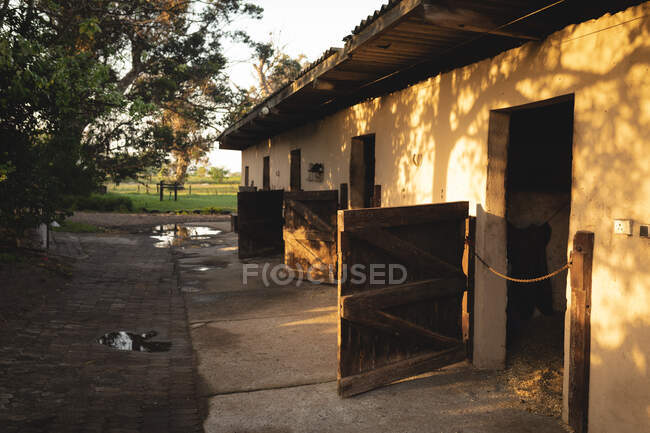 Вид сбоку конюшни с открытой деревянной дверью на солнечный день после дождя — стоковое фото