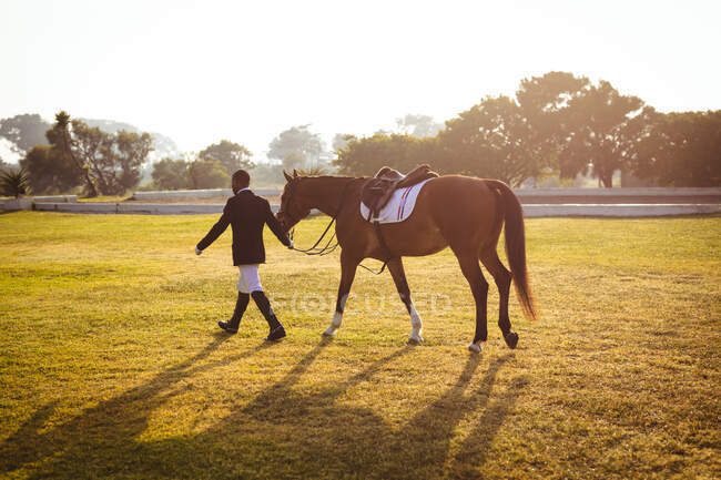Vue latérale d'un cavalier afro-américain habillé intelligemment marchant sur un cheval de châtaignier sur un enclos avant une compétition d'équitation de dressage, lors d'une journée ensoleillée. — Photo de stock