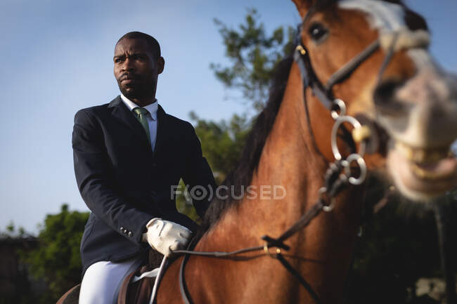 Вид спереди на ловко одетого афроамериканца, сидящего на каштановой лошади во время одевания лошади в солнечный день. — стоковое фото