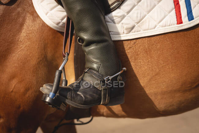 Vista lateral de la sección baja de un hombre elegante vestido con botas de montar y espuelas, sentado en su caballo de castaño en un evento de salto espectáculo durante un día soleado. - foto de stock