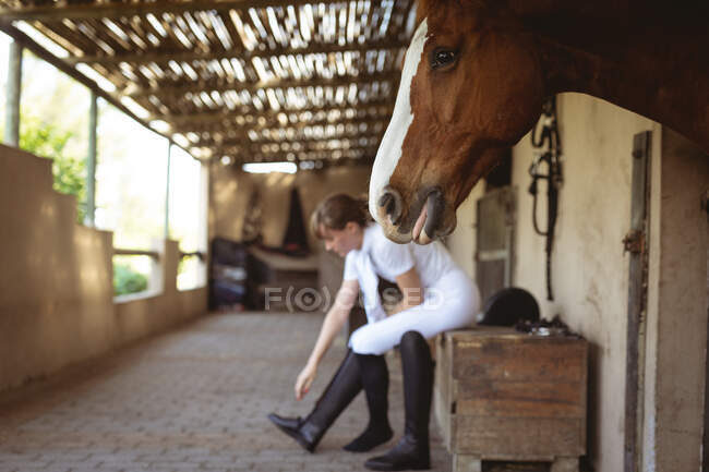 Vue latérale d'une cavalière caucasienne bien habillée se préparant à une compétition de dressage par une journée ensoleillée, enfilant ses bottes d'équitation, tandis que son cheval châtain se tient dans une écurie. — Photo de stock